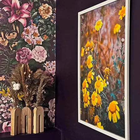 Artists' Nest Oda ve Kahvaltı *