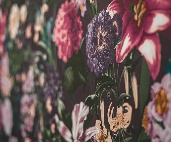 Oda ve Kahvaltı Artists' Nest Marsaskala